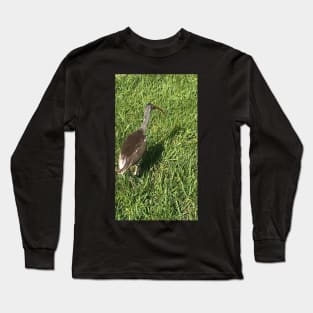 Flamingo Long Sleeve T-Shirt